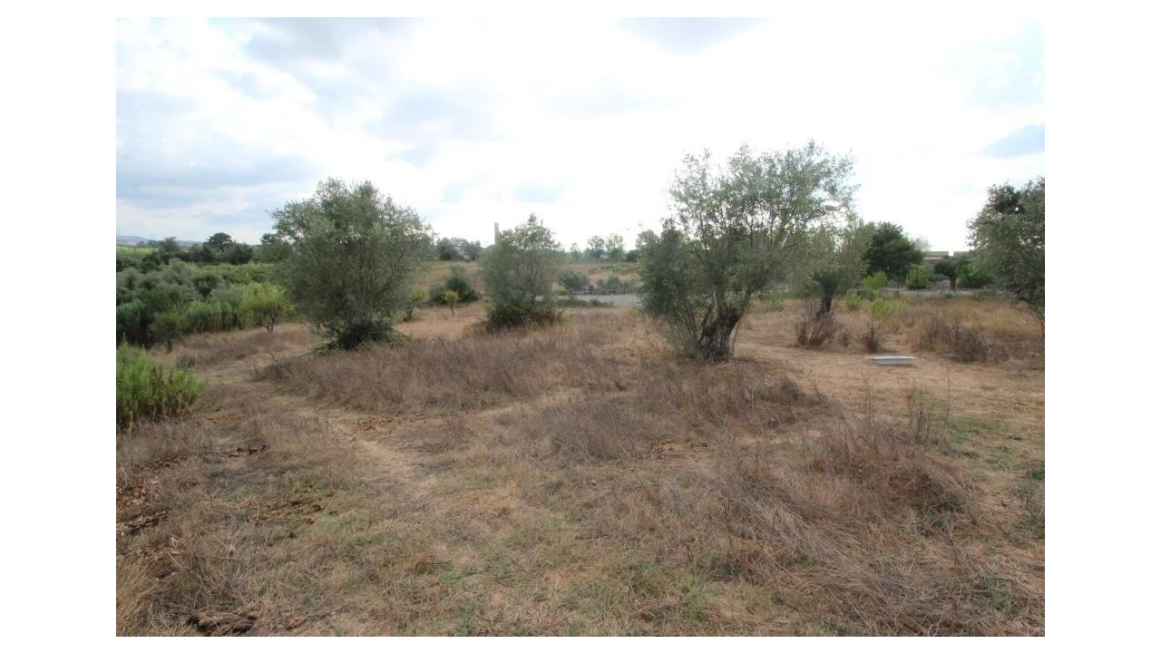 Terreno para Venda em Cernache Foto 1