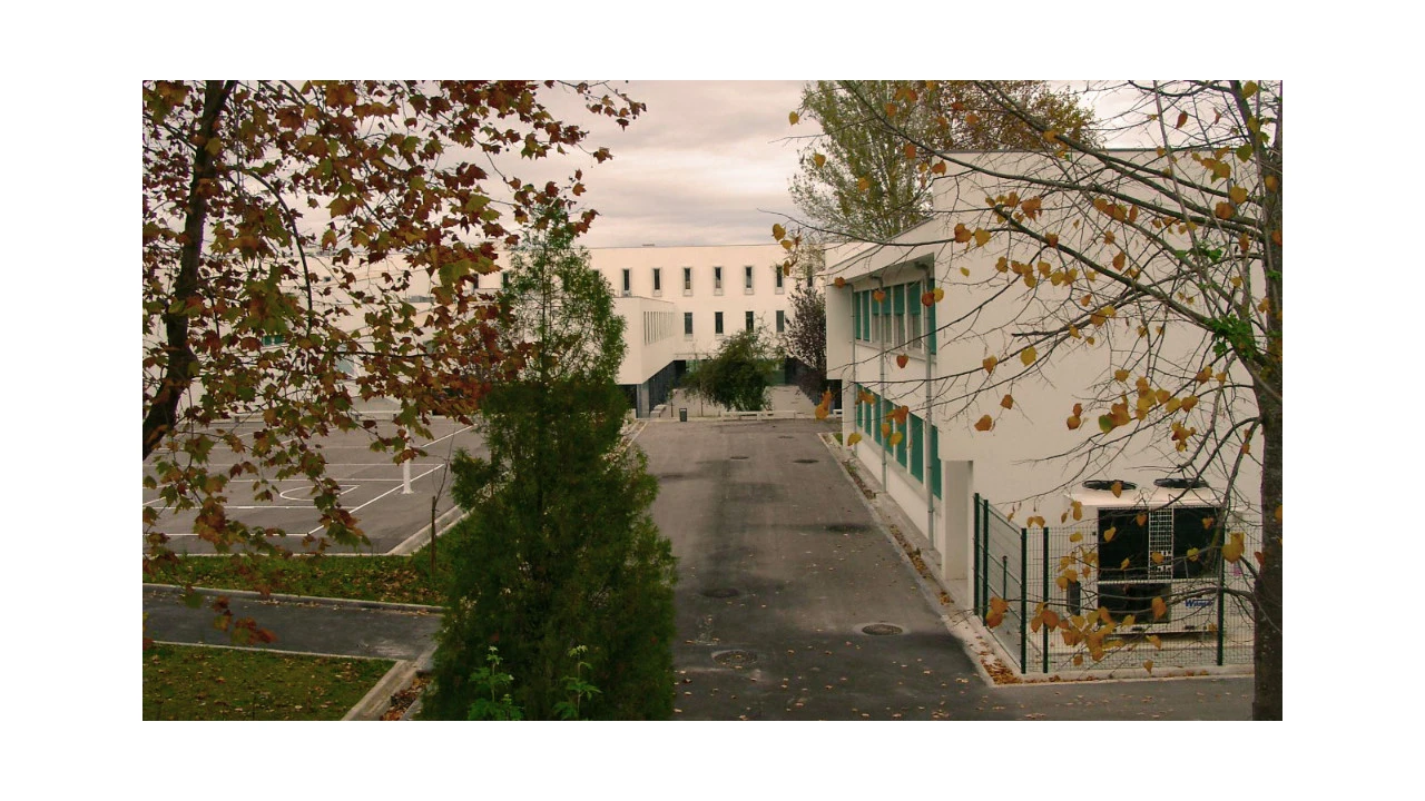 Terreno para Venda em Santo Antonio dos Olivais Foto 7