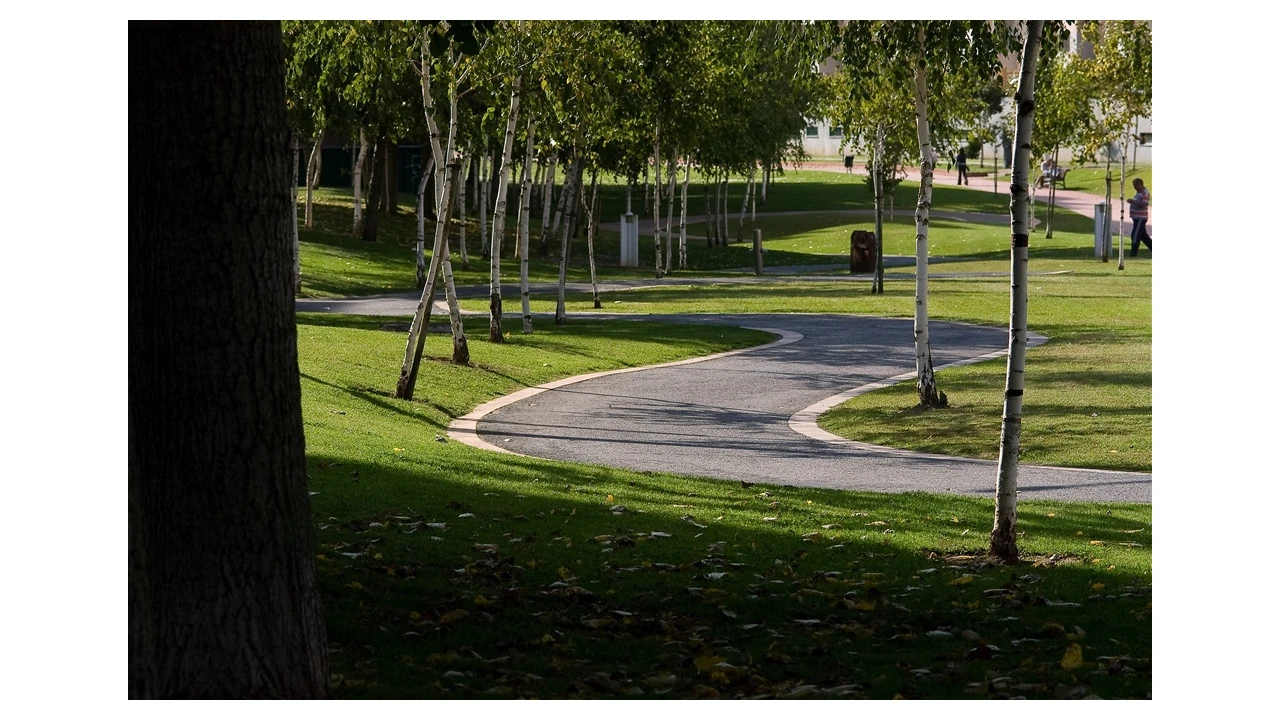 Terreno para Venda em Santo Antonio dos Olivais Foto 9