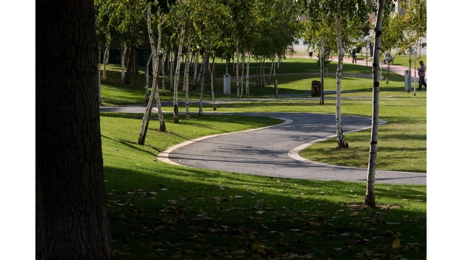 Terreno para Venda em Santo Antonio dos Olivais Foto 9