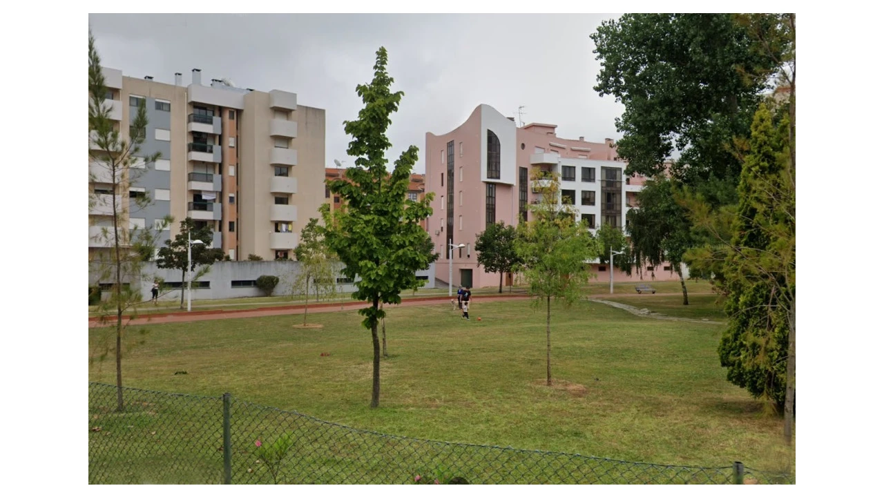 Terreno para Venda em Santo Antonio dos Olivais Foto 8