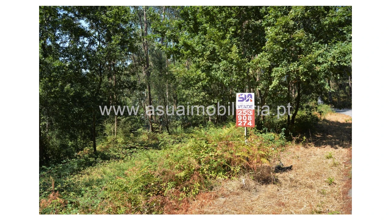 Terreno para Venda em Fiscal Foto 2