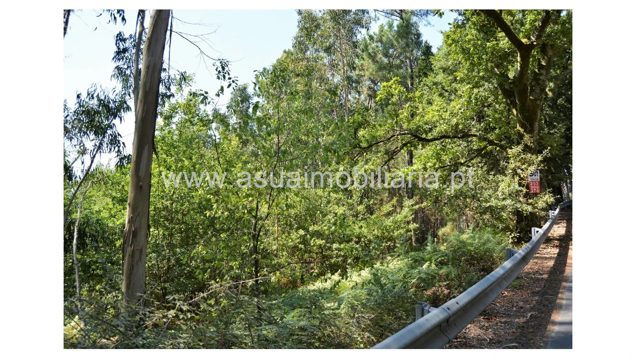 Terreno para Venda em Fiscal Foto 4