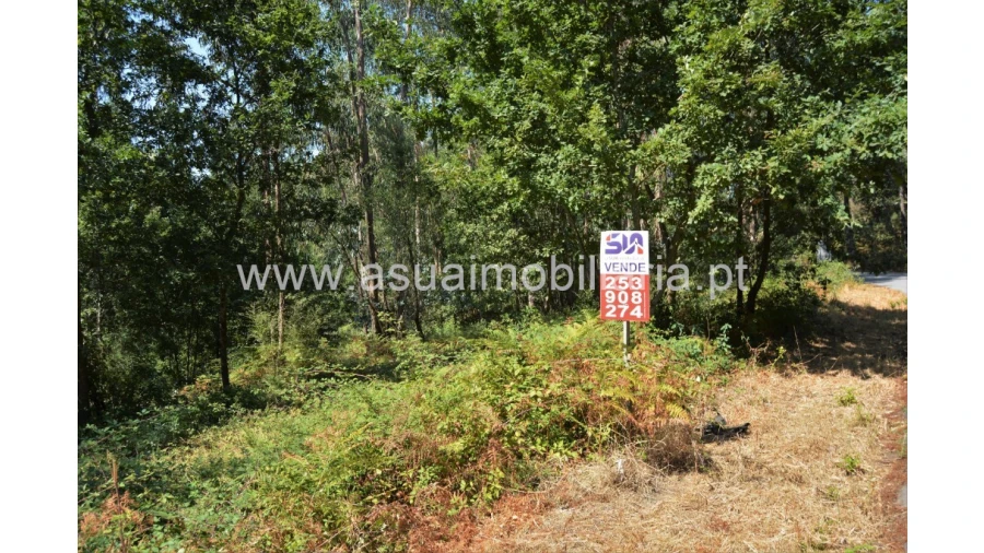 Terreno para Venda em Fiscal Foto 2