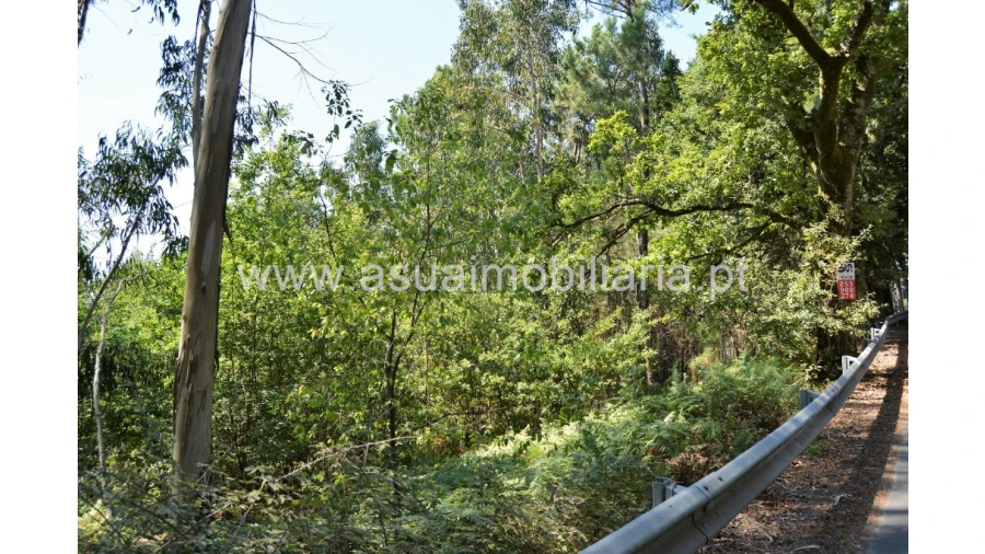 Terreno para Venda em Fiscal Foto 4