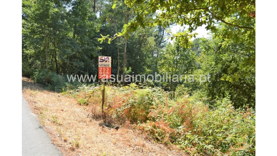 Terreno para Venda em Fiscal Foto 7