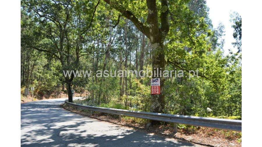 Terreno para Venda em Fiscal Foto 1