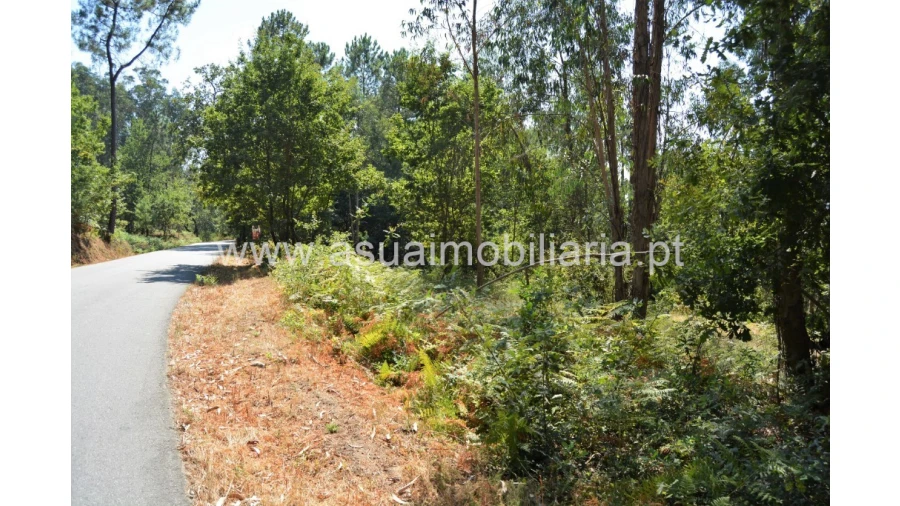 Terreno para Venda em Fiscal Foto 6