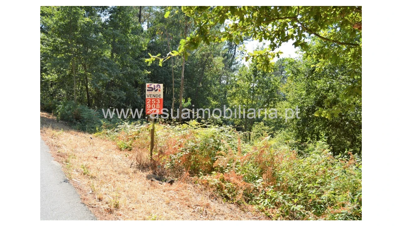 Terreno para Venda em Fiscal Foto 7