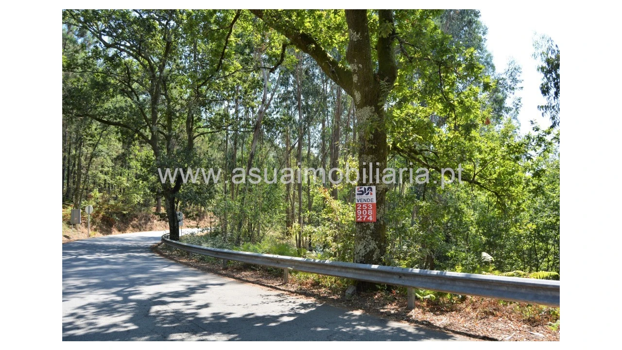 Terreno para Venda em Fiscal Foto 1