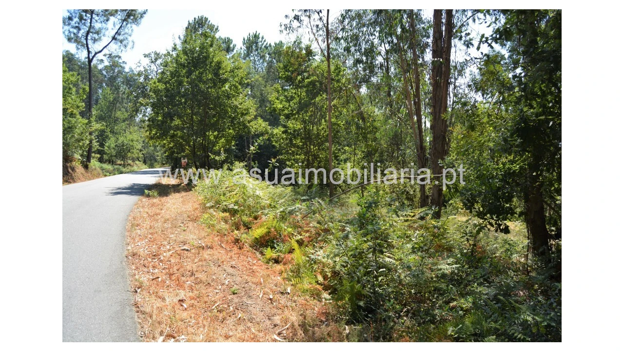 Terreno para Venda em Fiscal Foto 6