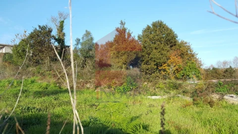 Terreno para Venda em Vila Verde e Barbudo