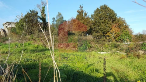 Terreno para Venda em Vila Verde e Barbudo