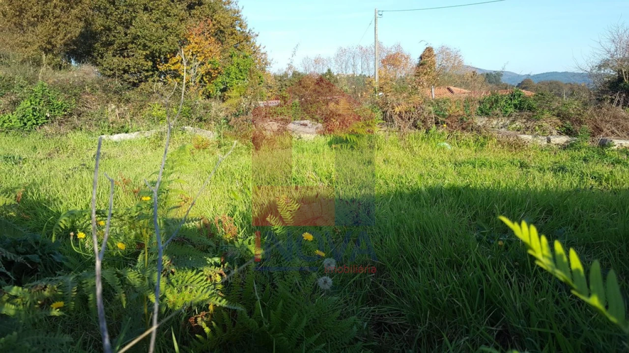 Terreno para Venda em Vila Verde e Barbudo Foto 3