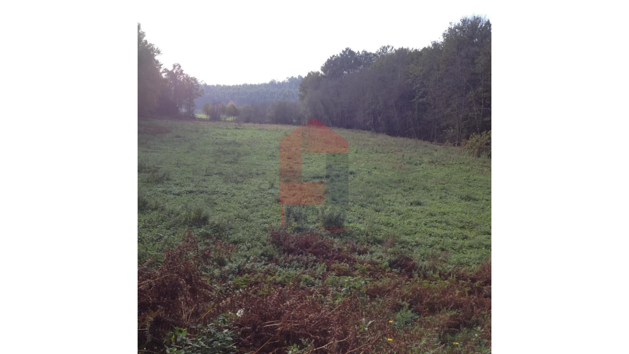 Terreno para Venda em Esqueiros, Nevogilde e Travassós Foto 2