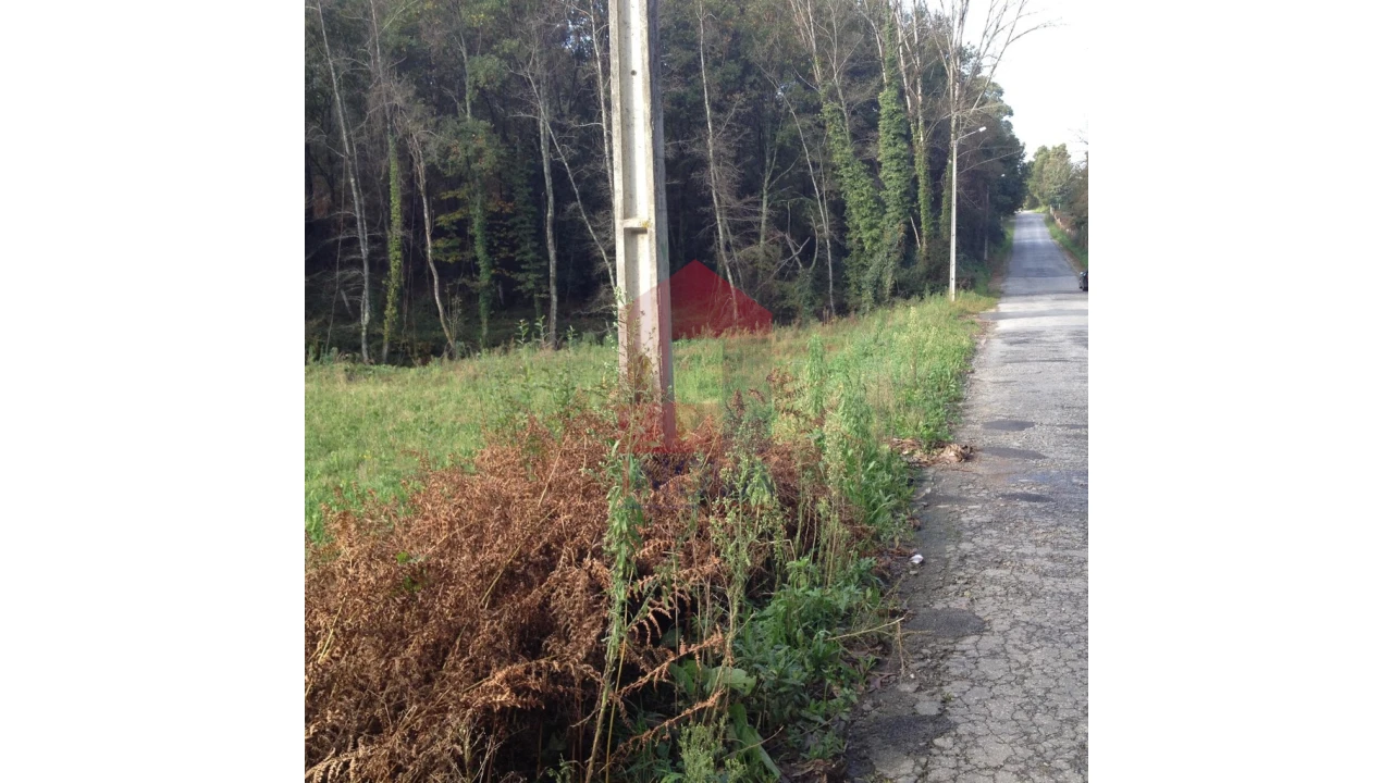 Terreno para Venda em Esqueiros, Nevogilde e Travassós Foto 6