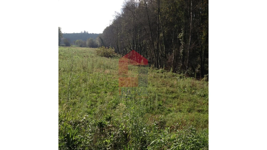 Terreno para Venda em Esqueiros, Nevogilde e Travassós