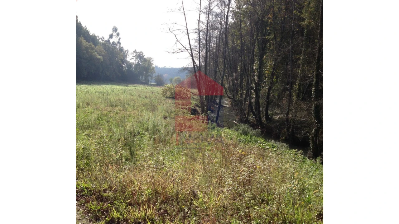 Terreno para Venda em Esqueiros, Nevogilde e Travassós Foto 3