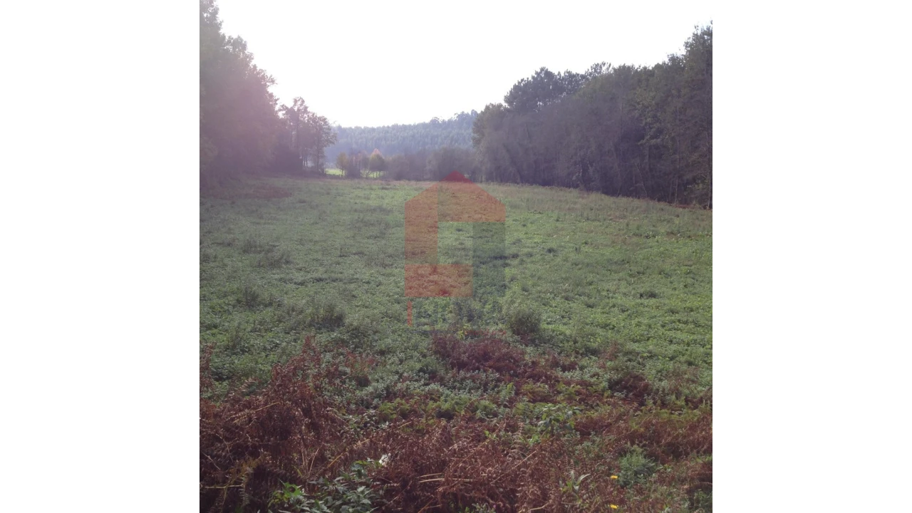 Terreno para Venda em Esqueiros, Nevogilde e Travassós Foto 4