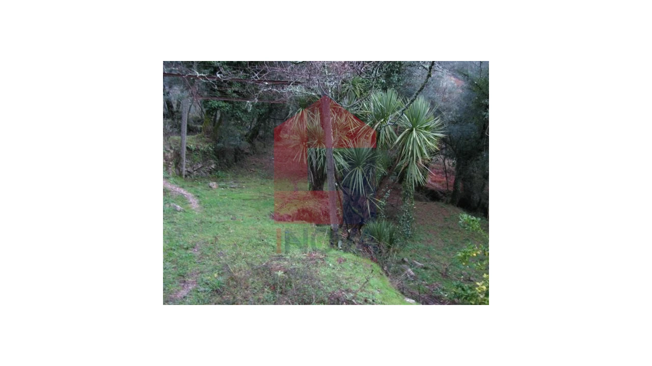 Quinta T1 para Venda em Valbom (São Pedro), Passô e Valbom (São Martinho) Foto 3