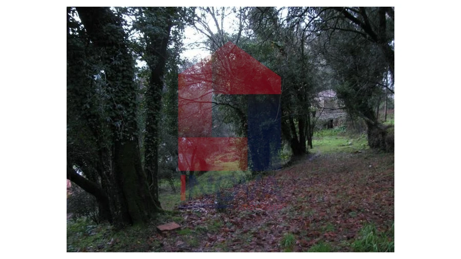 Quinta T1 para Venda em Valbom (São Pedro), Passô e Valbom (São Martinho) Foto 4