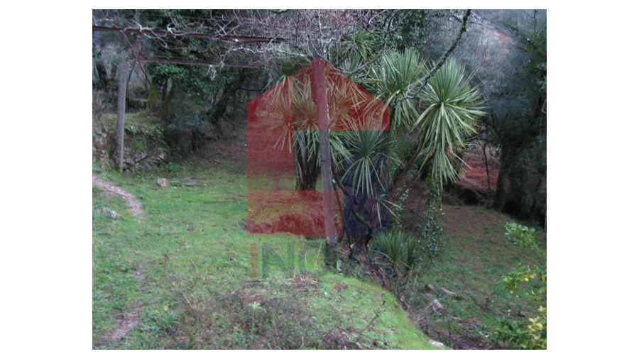 Quinta T1 para Venda em Valbom (São Pedro), Passô e Valbom (São Martinho) Foto 3