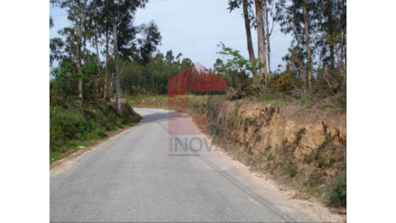 Terreno para Venda em Oleiros Foto 5