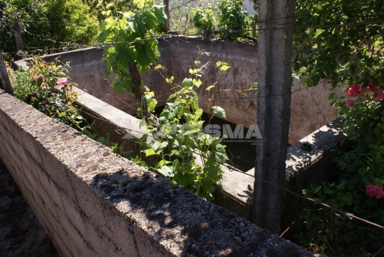 Terreno para Venda em Almaceda Foto 2