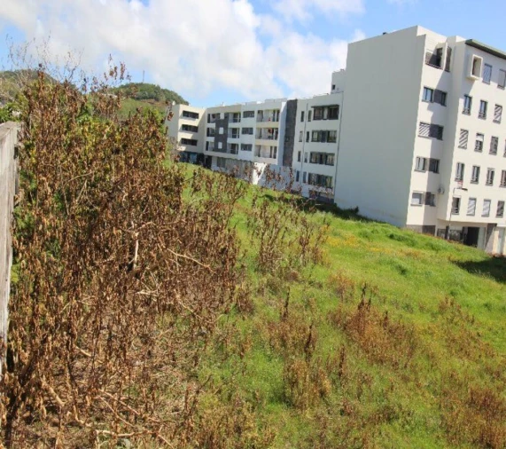 Terreno para Venda em Ponta Delgada (São Pedro) Foto 8
