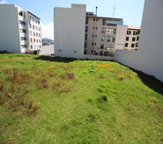 Terreno para Venda em Ponta Delgada (São Pedro) Foto 3