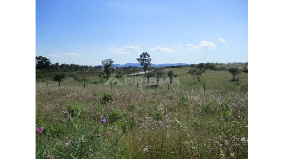 Terreno para Venda em Sarnadas de Rodão Foto 6