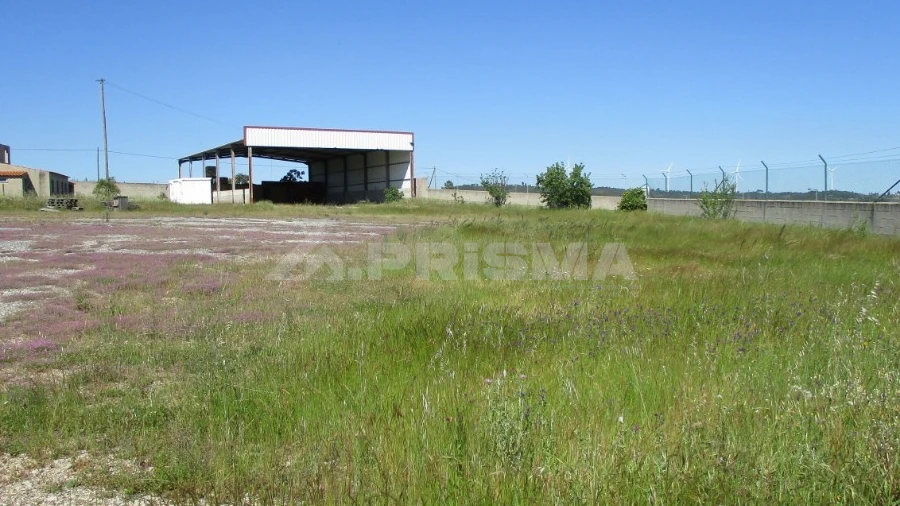 Terreno para Venda em Sarnadas de Rodão
