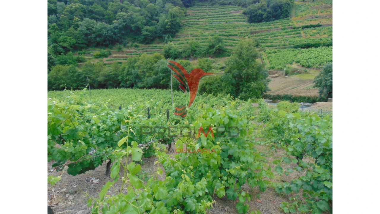 Quinta para Venda em Louredo e Fornelos Foto 11