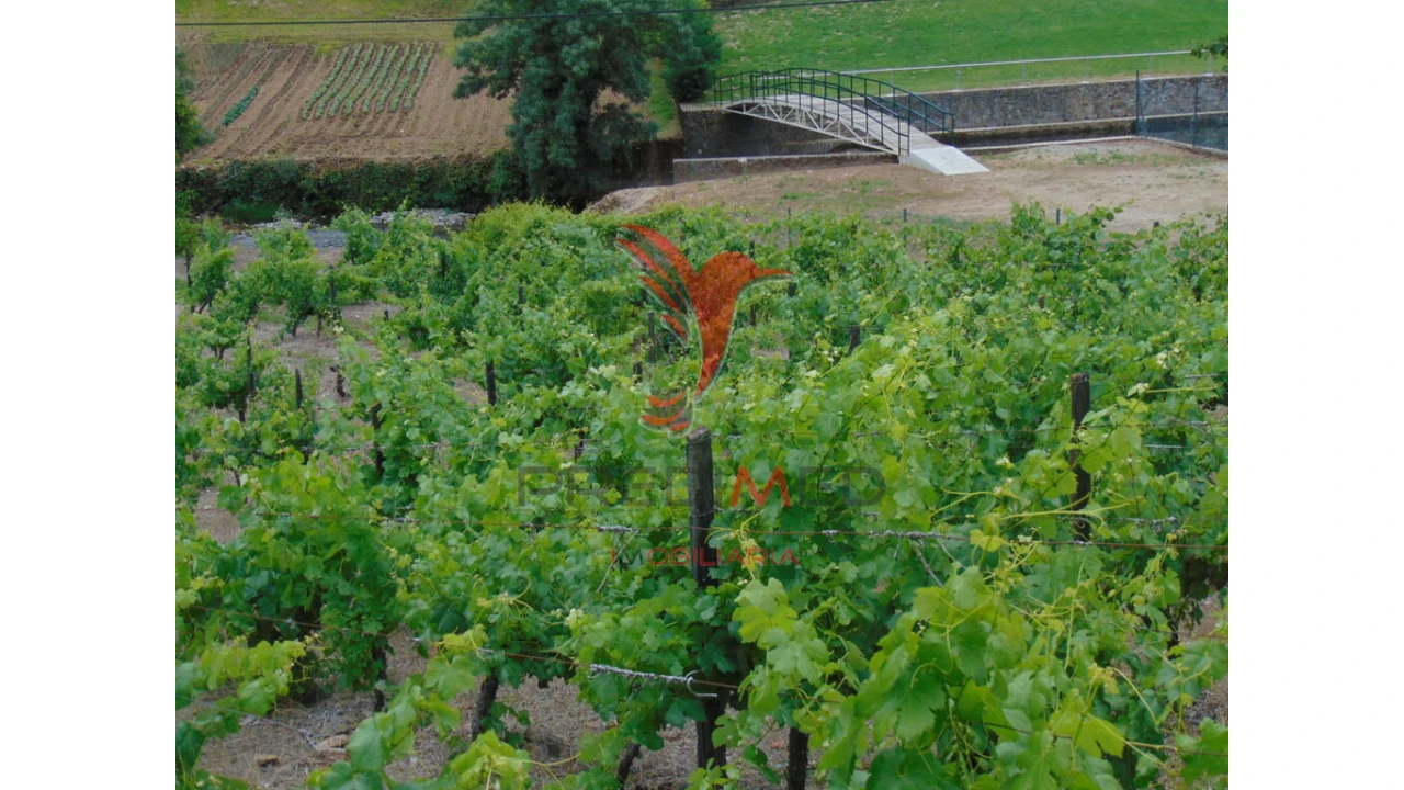 Quinta para Venda em Louredo e Fornelos Foto 20