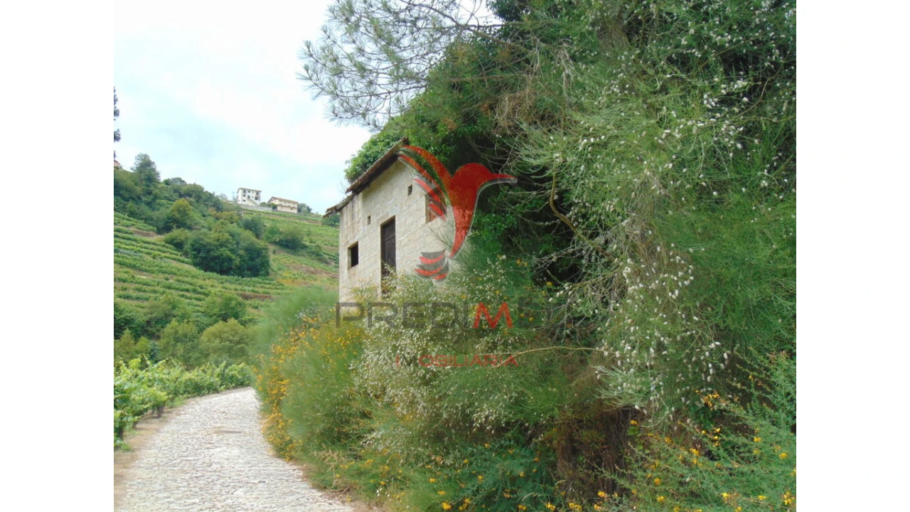 Quinta para Venda em Louredo e Fornelos Foto 6