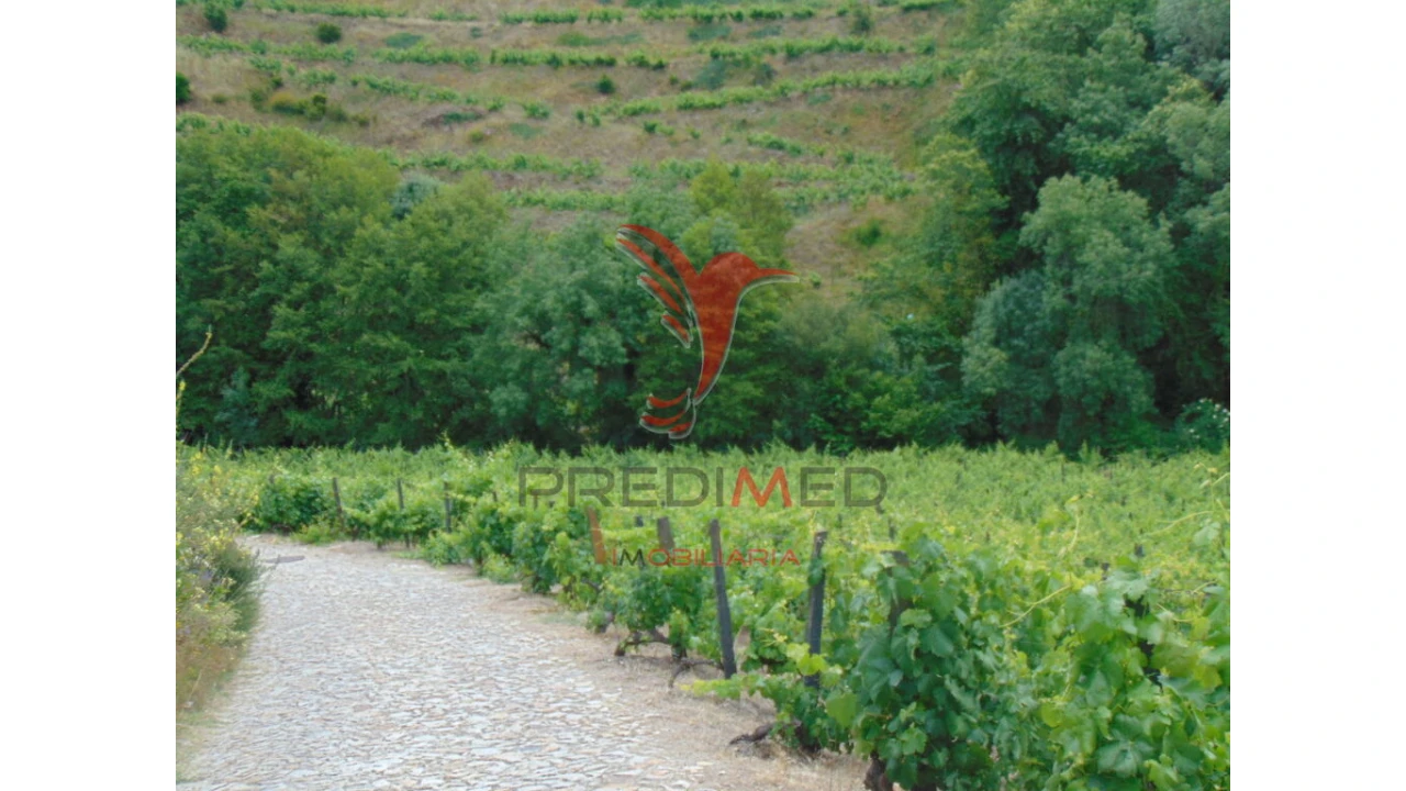 Quinta para Venda em Louredo e Fornelos Foto 18
