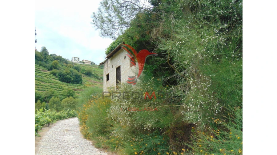 Quinta para Venda em Louredo e Fornelos Foto 6