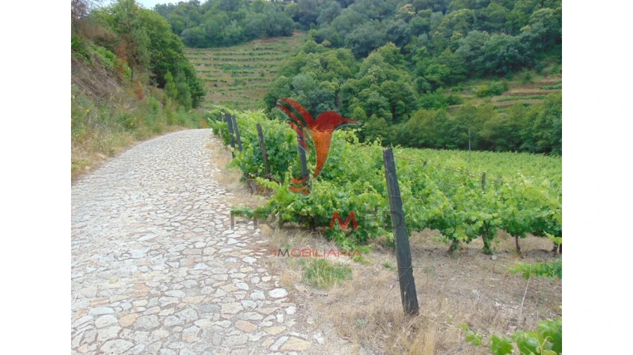 Quinta para Venda em Louredo e Fornelos Foto 2