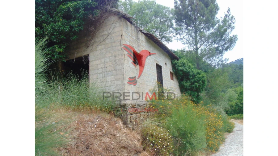 Quinta para Venda em Louredo e Fornelos Foto 7