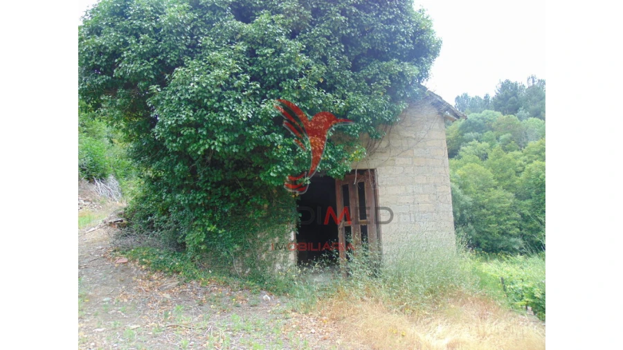 Quinta para Venda em Louredo e Fornelos Foto 8