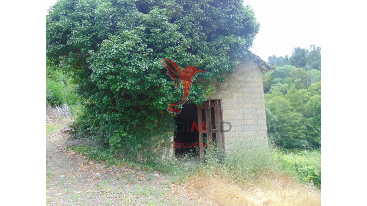 Quinta para Venda em Louredo e Fornelos Foto 8