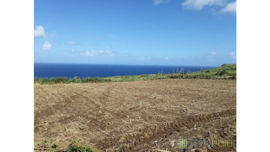 Terreno para Venda em Salão Foto 3