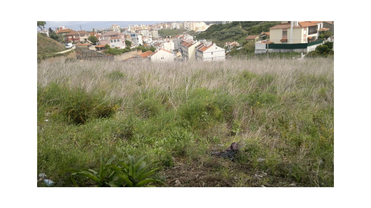 Terreno para Venda em Vialonga Foto 1