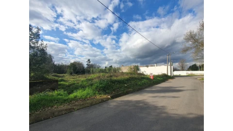 Terreno para Venda em São Martinho de Árvore e Lamarosa