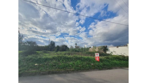 Terreno para Venda em São Martinho de Árvore e Lamarosa