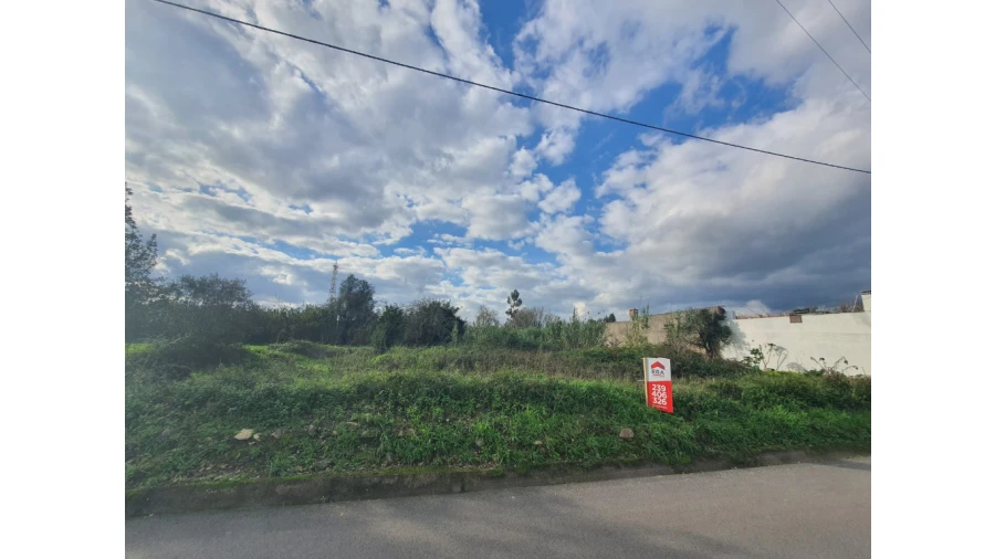 Terreno para Venda em São Martinho de Árvore e Lamarosa Foto 2