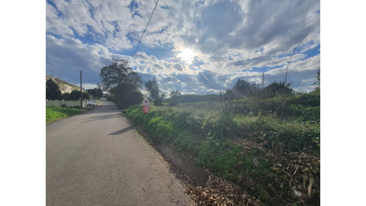 Terreno para Venda em São Martinho de Árvore e Lamarosa Foto 3