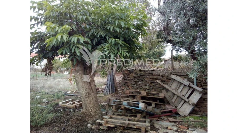 Terreno para Venda em Rio de Moinhos Foto 5