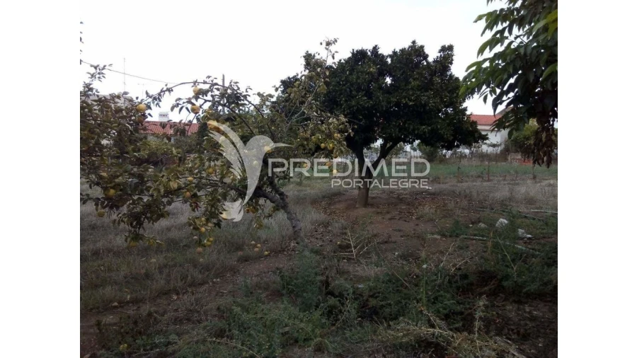 Terreno para Venda em Rio de Moinhos Foto 3