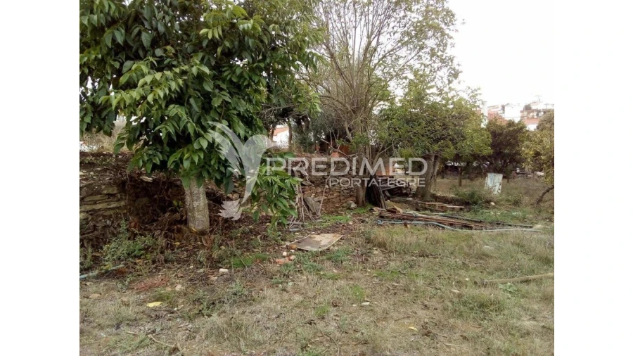 Terreno para Venda em Rio de Moinhos Foto 7